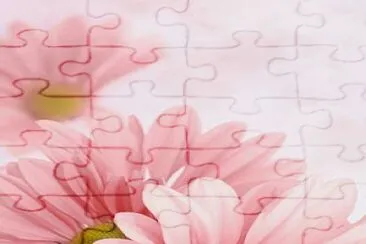 פאזל של flores5