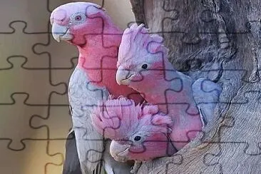 animais5 jigsaw puzzle