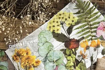 1-35 jigsaw puzzle
