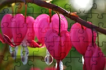 flores jigsaw puzzle