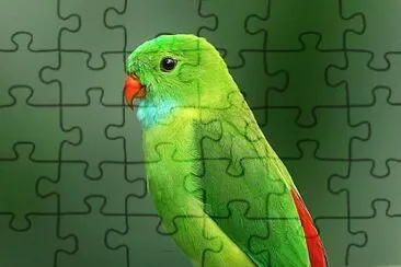 cores jigsaw puzzle