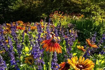 flores jigsaw puzzle