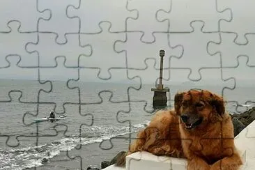 eu jigsaw puzzle