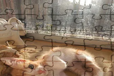 Gatitos
