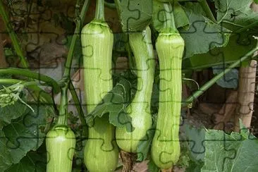 imagem jigsaw puzzle