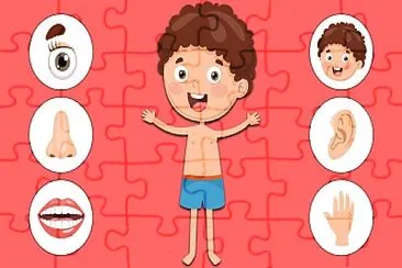 Body jigsaw puzzle