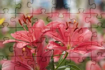 imagem jigsaw puzzle