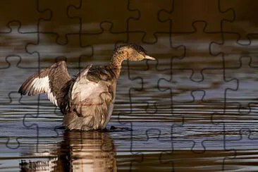 Svasso testacanuta jigsaw puzzle