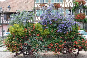 alsace jigsaw puzzle