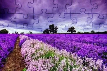 imagem jigsaw puzzle