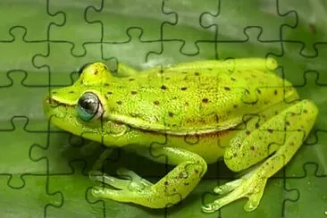 jigsaw puzzle