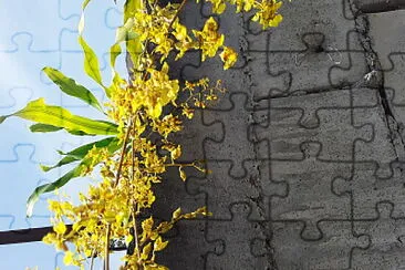 miniatura orquidea. jigsaw puzzle