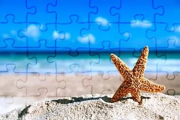 general jigsaw puzzle