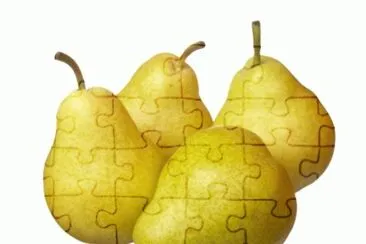  jigsaw puzzle