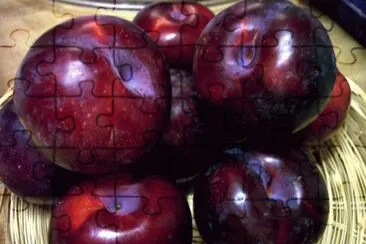  jigsaw puzzle