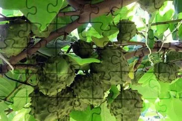 jigsaw puzzle