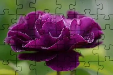 unown jigsaw puzzle