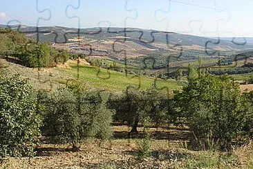 Elon Glick jigsaw puzzle
