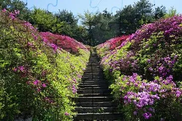 imagem jigsaw puzzle