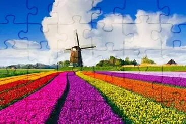 Foto jigsaw puzzle
