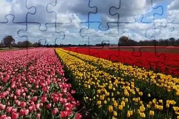 Foto jigsaw puzzle