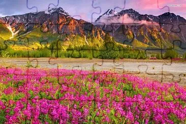 Foto jigsaw puzzle