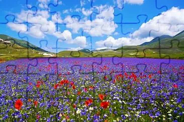Foto jigsaw puzzle