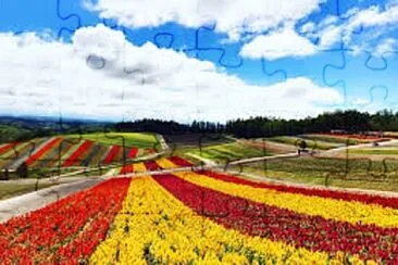 Foto jigsaw puzzle