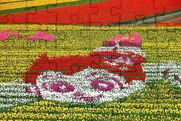 Foto jigsaw puzzle