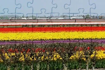 Foto jigsaw puzzle