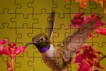 imagem jigsaw puzzle
