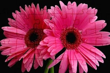 Flower jigsaw puzzle