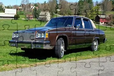 1981 Buick Electra Park Avenue jigsaw puzzle