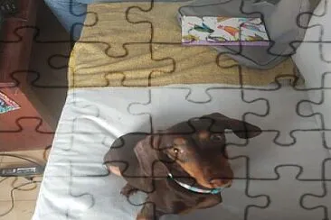 פאזל של 