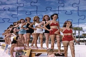 ladys jigsaw puzzle