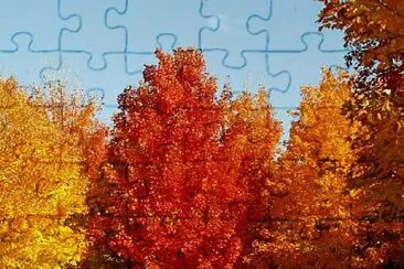susy jigsaw puzzle