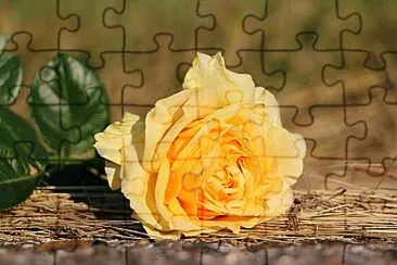 belleza jigsaw puzzle