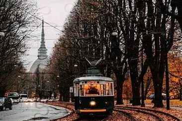 Turin jigsaw puzzle