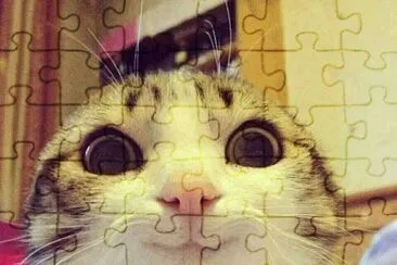 gatito muw jigsaw puzzle