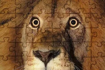 CENÃRIO K227 jigsaw puzzle