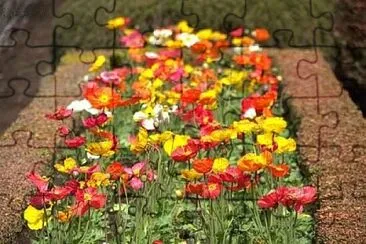 OK jigsaw puzzle
