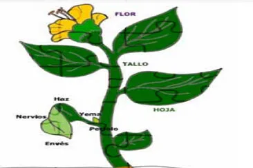 Rompecabeza