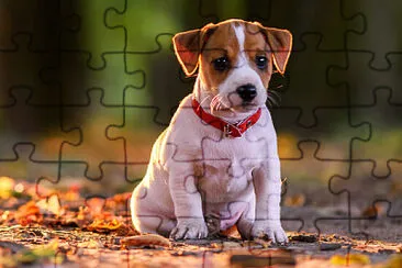Foto jigsaw puzzle