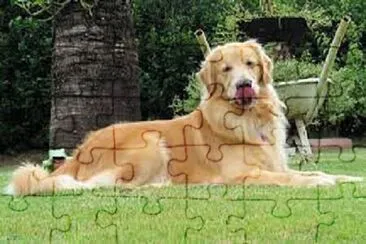 Foto jigsaw puzzle