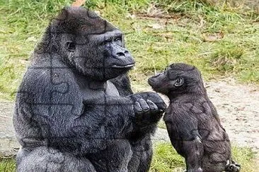 CENÃRIO K228 jigsaw puzzle