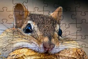 CENÃRIO K229 jigsaw puzzle