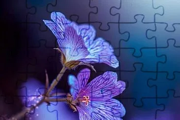 CENÃRIO K230 jigsaw puzzle