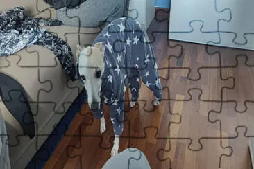פאזל של CHIIIEN
