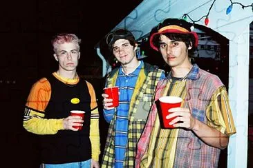 Wallows jigsaw puzzle