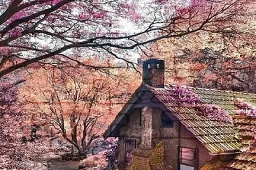 imagem jigsaw puzzle
